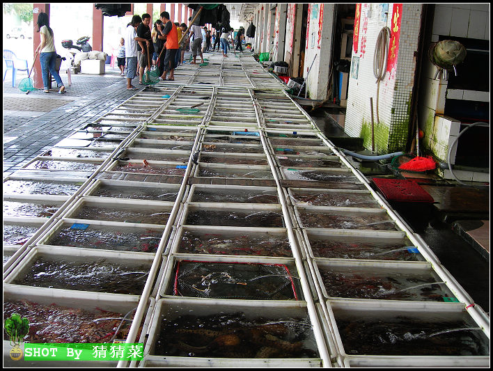 �ϰ��緹�ɹ�����