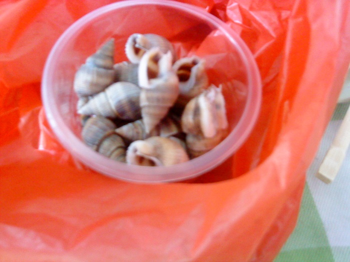 �������,����ҵ�����