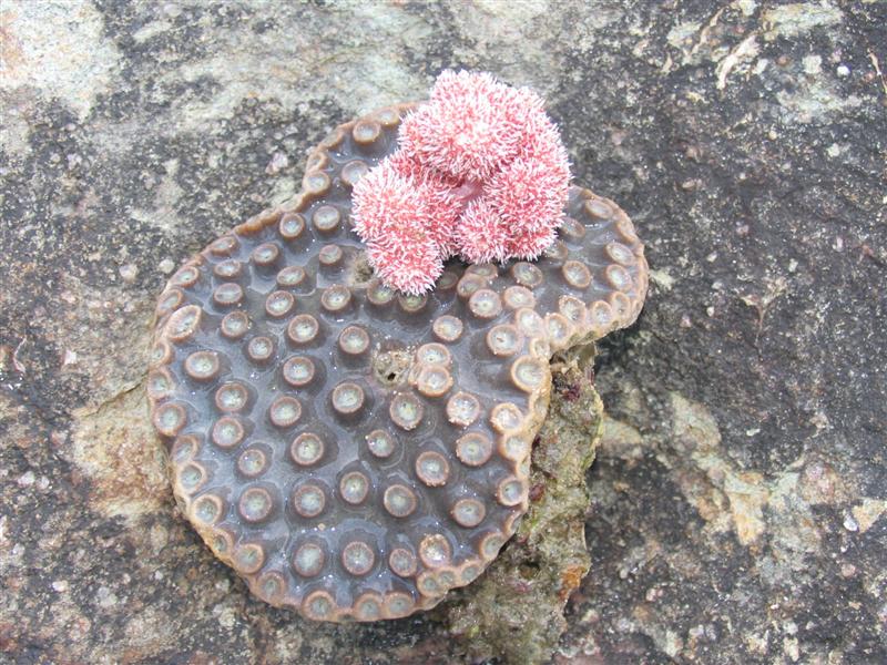 IMG_6951 (��).JPG