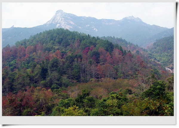 ����ɽ����Զ��