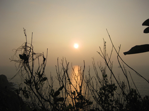 ���ճ��ٵ���!