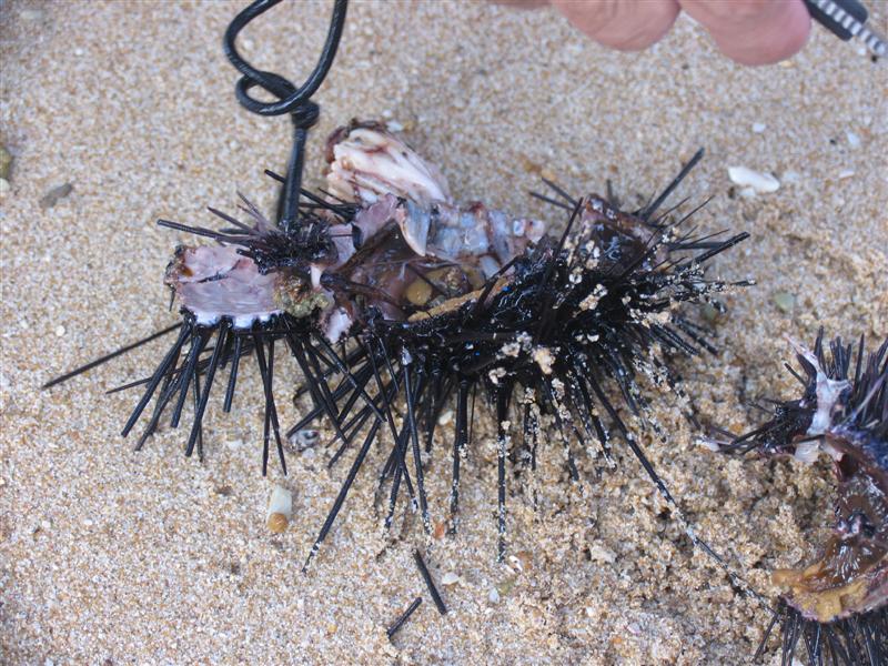 IMG_6946 (��).JPG