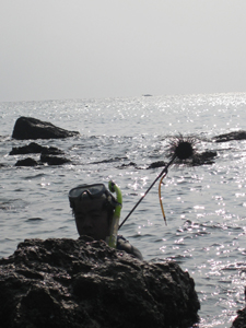 ׽��������05