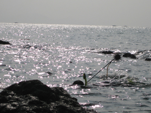 ׽��������02