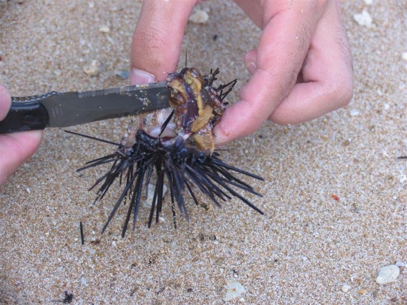 IMG_6947 (��).JPG