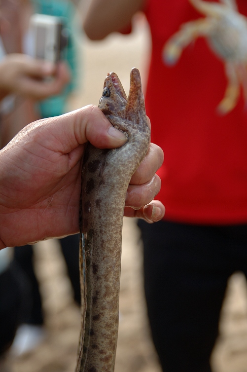 �������һ����һ�����ݣ�����ҷ��������ˡ�