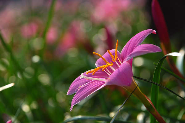 �᲻�����̫������?