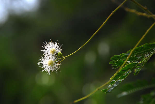 ��֪ʲô����,���ù�ͼ����~