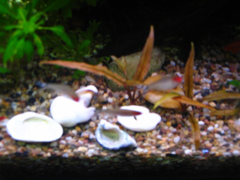 IMG_7009 (��).JPG