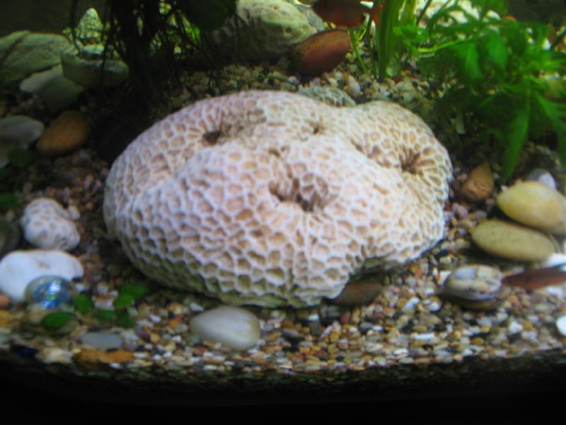 IMG_6998 (��).JPG