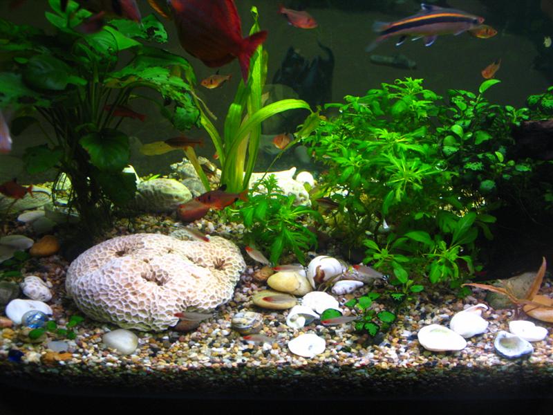 IMG_7008 (��).JPG