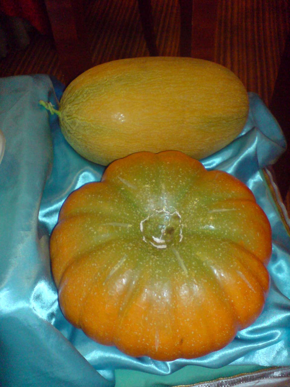 �ֻ��ĵ�,������Ư��,������