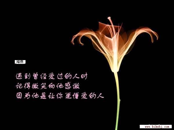 ����֮��