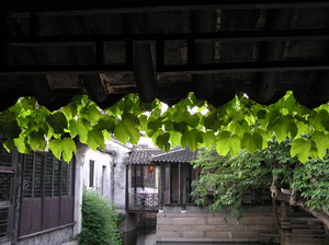 ��԰��ɫ�ز�ס