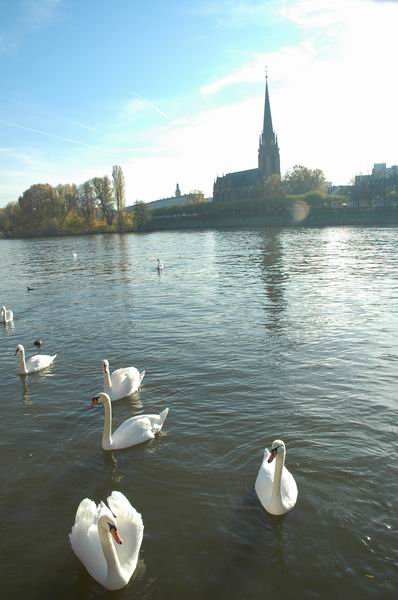 �����˸�����������ŵ����