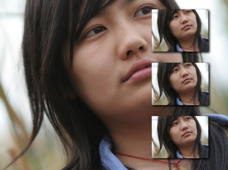 ��лС������Э��