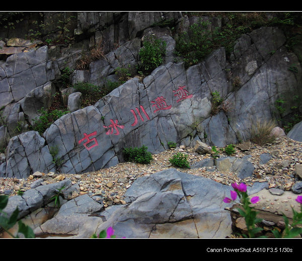 ��֤��ʷ�ı�����ַ