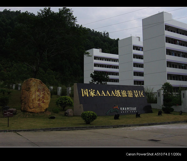 ����Ŷ���ò