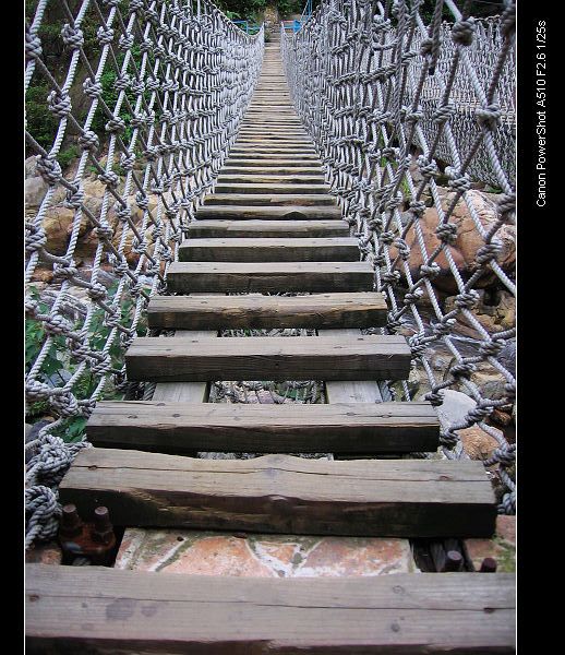 ͨ�������������