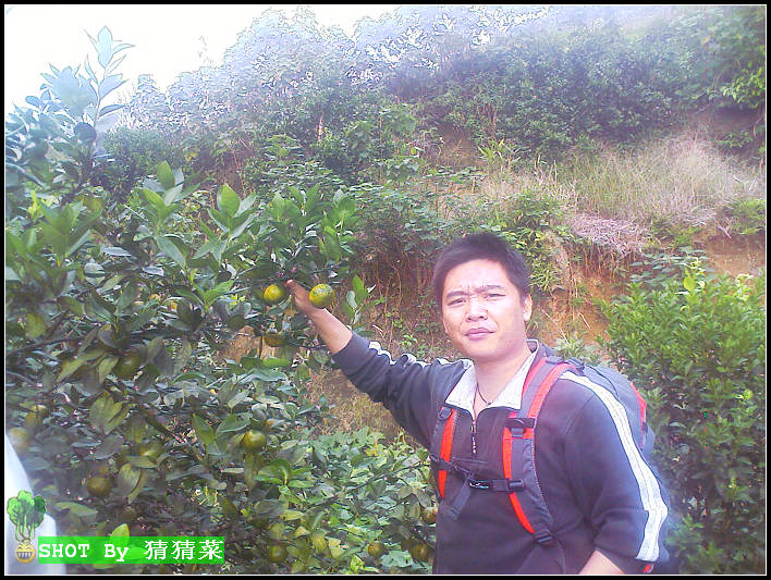 �����������������ɢ������ɽ���ҵ����ѵ������۽���ժ���С�