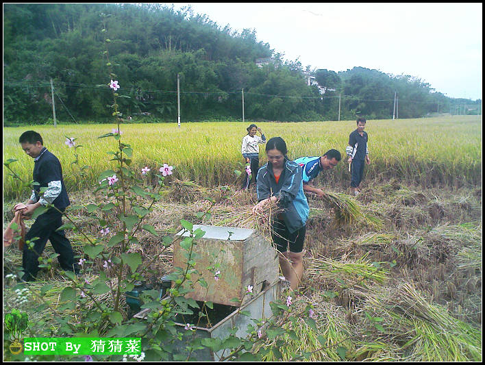 ��Ȼ�磬С��Ҳȥ������