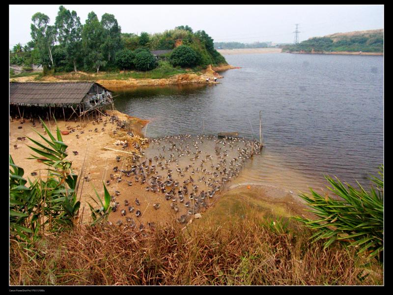 ���ｫ�ⱻ���񣬽�����Զ��վ�Ĺ㳡