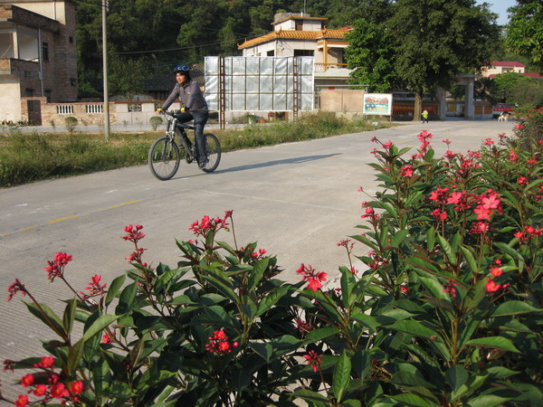 ����������