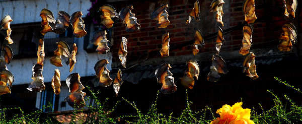 �������е����~~~����!!!!