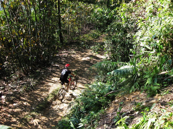 �������еĴ���