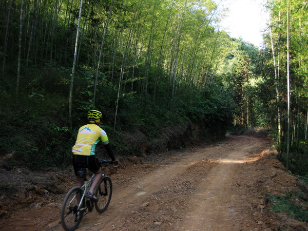 �������ޱߵ������д���