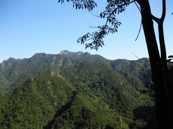 Ρ����ʵı�¥��