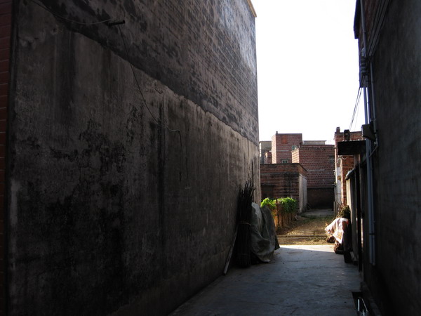 �����ݴ�