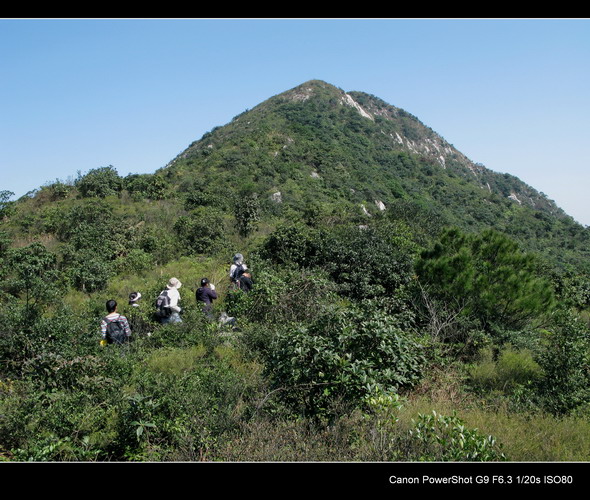 �������۷����