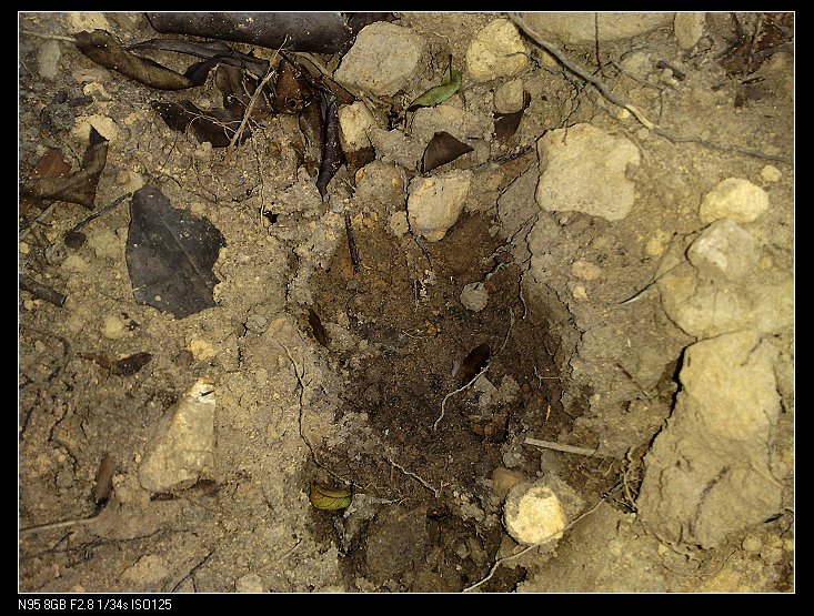 ���ʵ�ɽ����ӡ