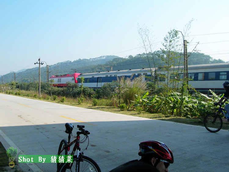 ��Х�����Ļ�