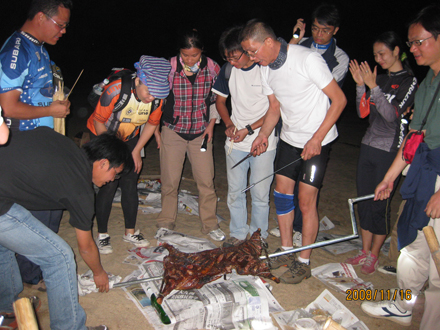 ����������~~~��������