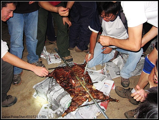 ���Ƿ�����