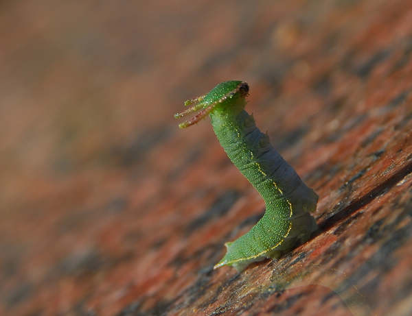 ����͵�`��㱻������