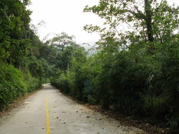 ͨ��ɽ�ŵľ�����·