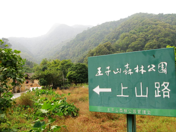 �ִ�����ɽ��