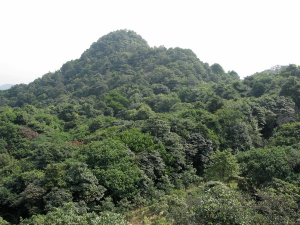 ��������572�׵���Ӣɽ�۷�