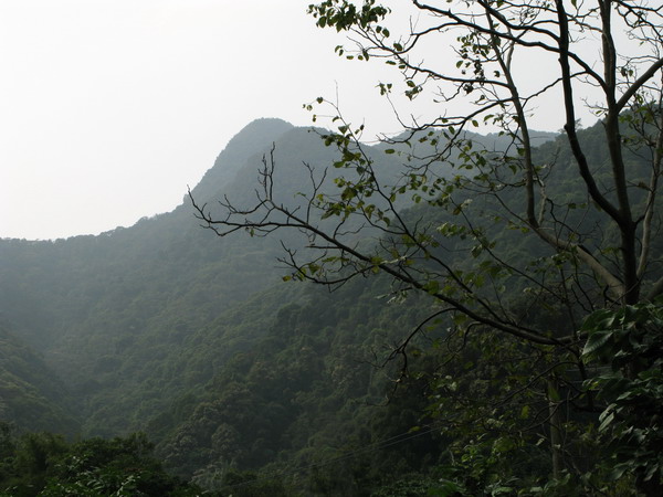 ����ɽɭ�ֹ�԰������Ӣɽ����