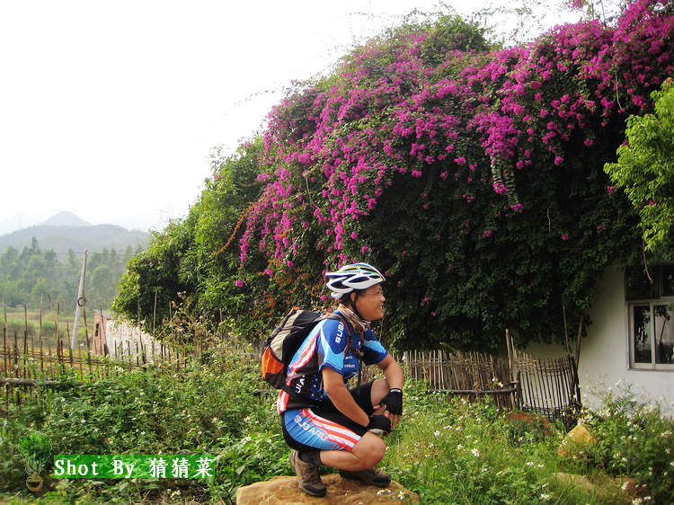 ��Ȼ���еĻ�