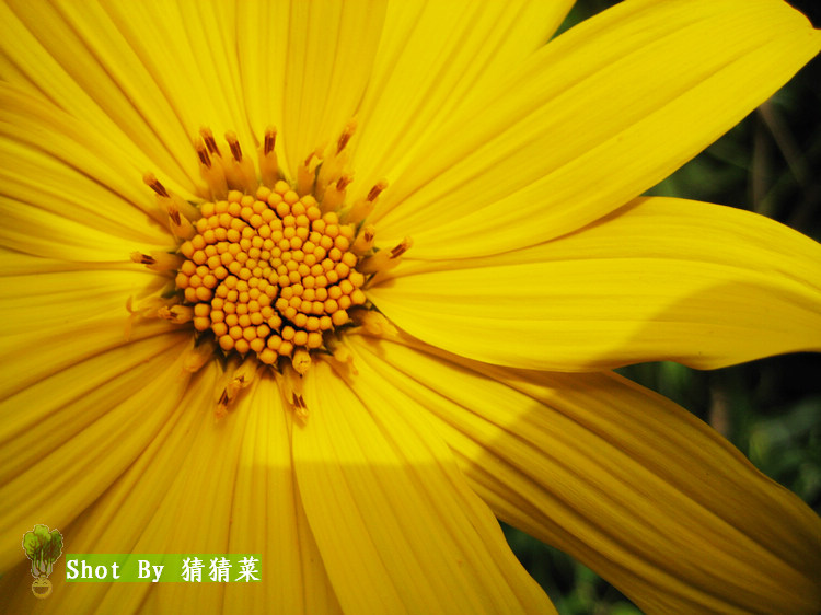 ������д���յ�����