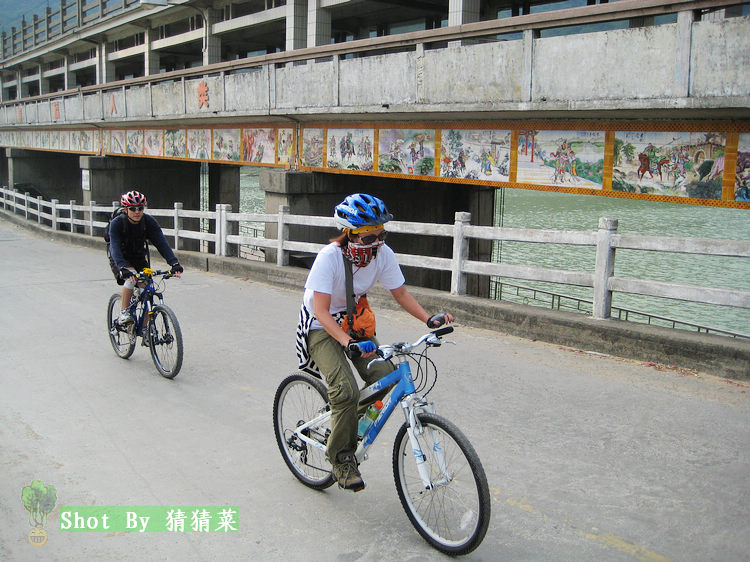 ���ͣ����