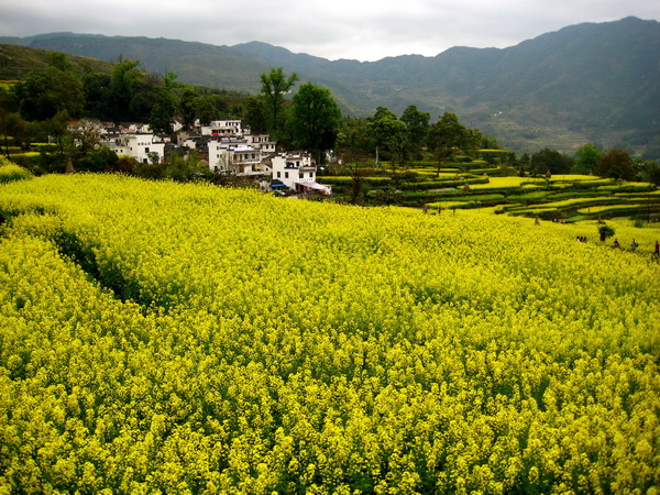 �����Ͳ˻�