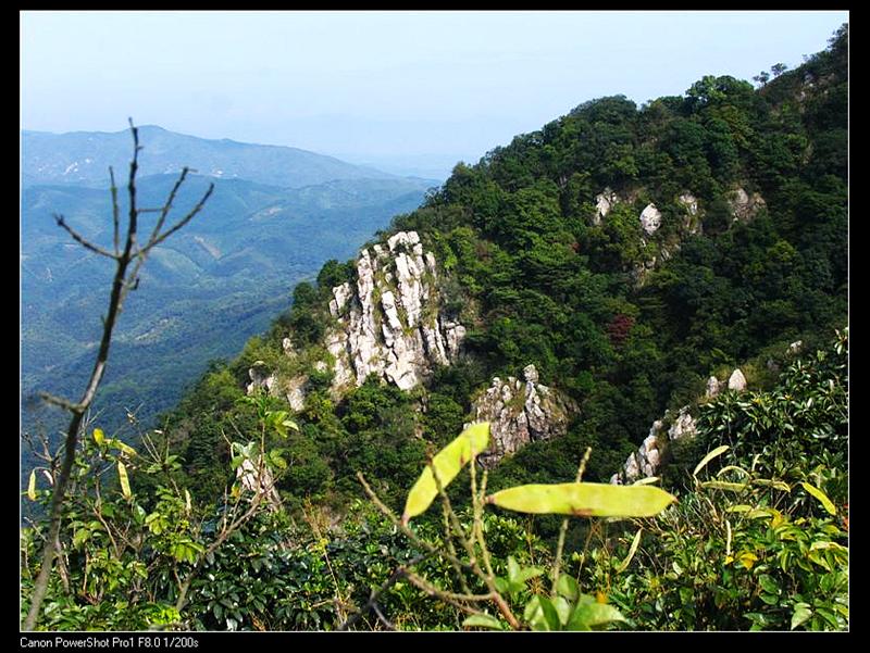 IMG_7154 (��) (��).JPG