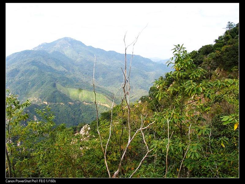 IMG_7138 (��) (��).JPG