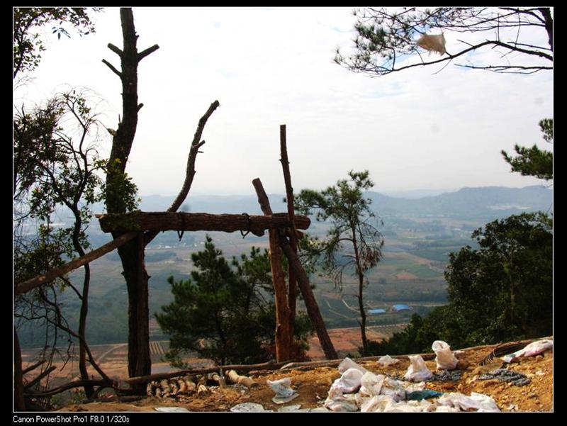 IMG_7132 (��) (��).JPG