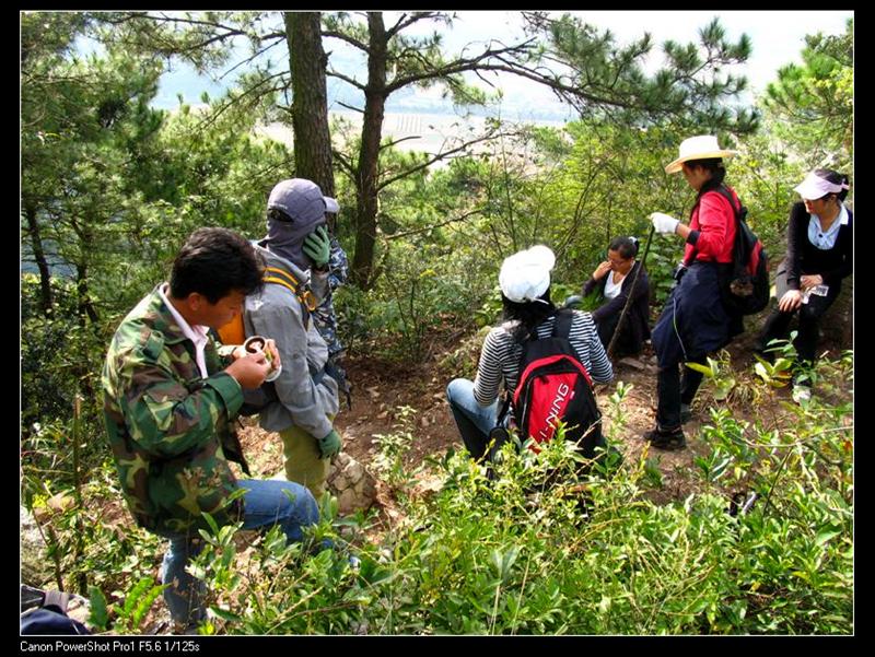 IMG_7127 (��) (��).JPG